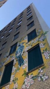 bird and flowers Tulsa